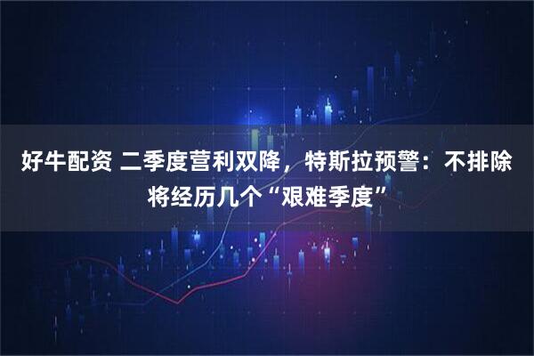 好牛配资 二季度营利双降，特斯拉预警：不排除将经历几个“艰难季度”