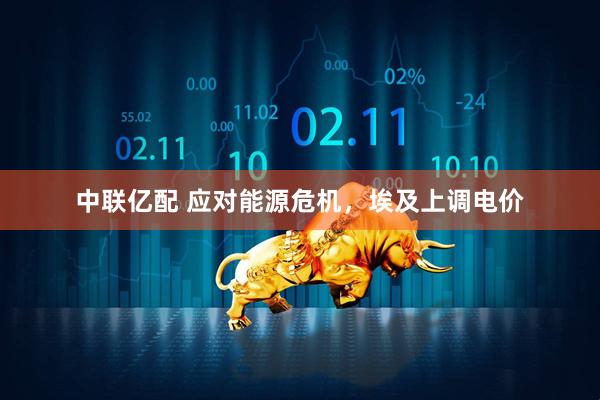 中联亿配 应对能源危机,埃及上调电价