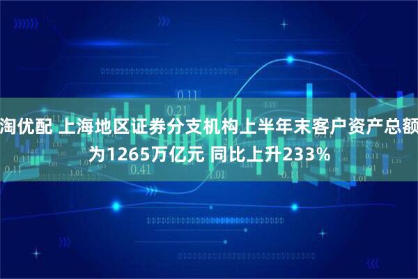 淘优配 上海地区证券分支机构上半年末客户资产总额为1265万亿元 同比上升233%